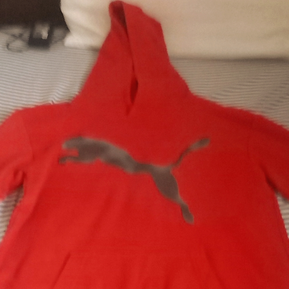 A red puma